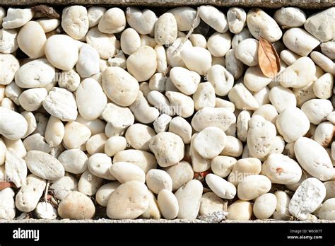 Small White Pebbles Hi Res Stock Photography And Images Alamy