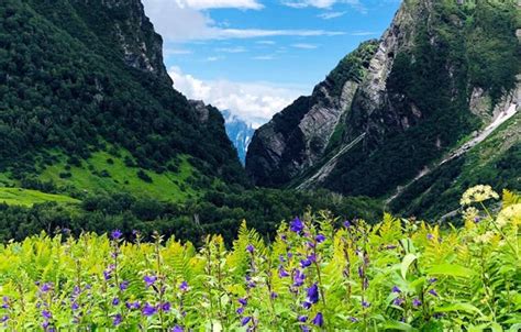 Valley of Flowers and Hemkund Sahib Trek – Desi Nomadz