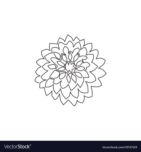 Single Continuous Line Drawing Beauty Fresh Vector Image