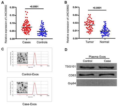 Exosomal Long Non Coding Rna Linc Promotes Non Small Cell Lung