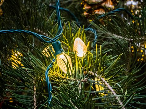 Yellow Lights On Christmas Tree - Free Stock Photo - FOCA Stock