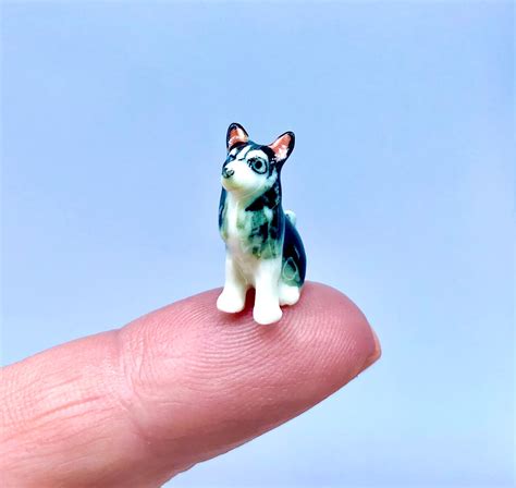 What Dog Looks Like A Miniature Husky Or Malamute