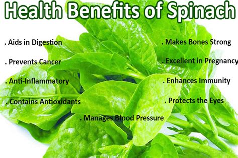 Top 10 Health Benefits Of Spinach