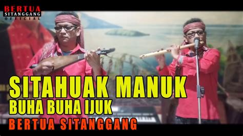 SITAHUAK MANUK BUHA BUHA IJUK BERTUA SITANGGANG SULIM TONGOSAN YouTube