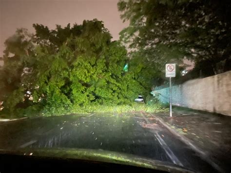 Forte temporal atinge Campinas e causa estragos quedas de árvores e