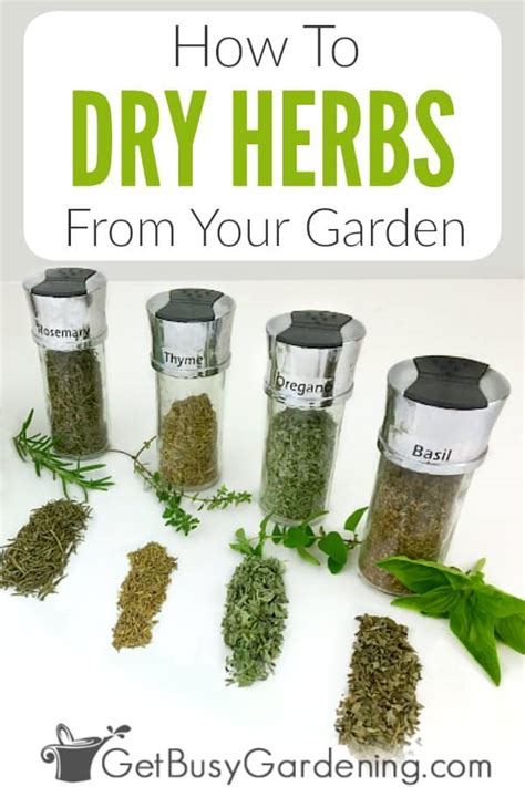 How To Dry Herbs The Right Way 6 Different Methods