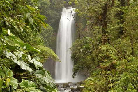 En Ce Moment Vacances Pour La Faune Et La Flore Du Costa Rica Costa