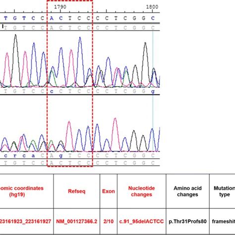 Results Of Single Nucleotide Polymorphism Snp Analysis Revealed A Download Scientific Diagram