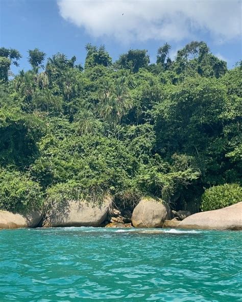 Posted By Mxite03 Maite Jelitto Boat Tour ️brasil