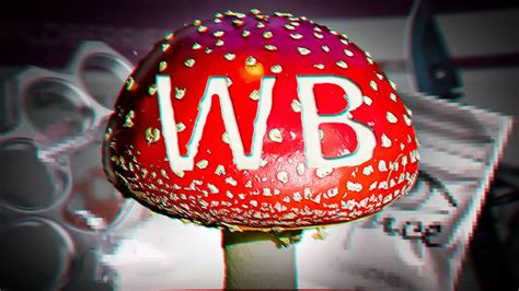 Заказал Запрещёнку На WB - YouTube