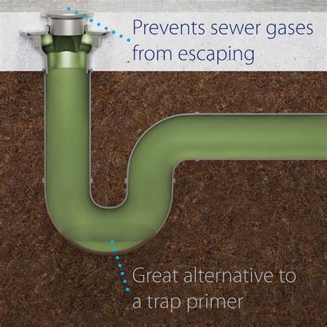 Floor Drain With Trap Primer Carpet Vidalondon