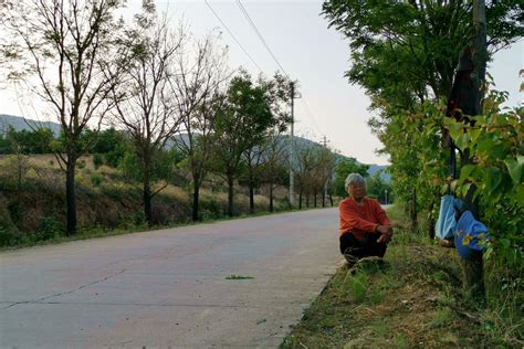 农村7旬大妈坐在路边当保安，杏树林值班9小时，天黑才回家