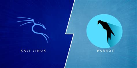 Parrot OS Vs Kali Linux Comparison DenizHalil