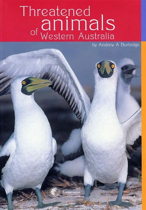 Threatened Animals Of Western Australia Nhbs Academic And Professional