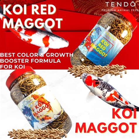 Jual Maggot Kering Premium Pakan Ikan Koi Super Growth Color Booster