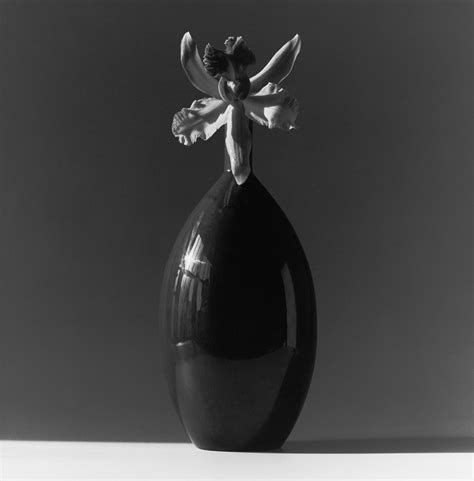 Robert Mapplethorpe Orchid 1985 Galerie Thomas Schulte