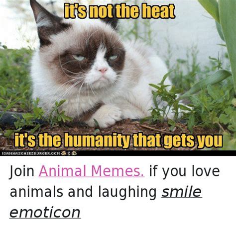 Love animals Memes