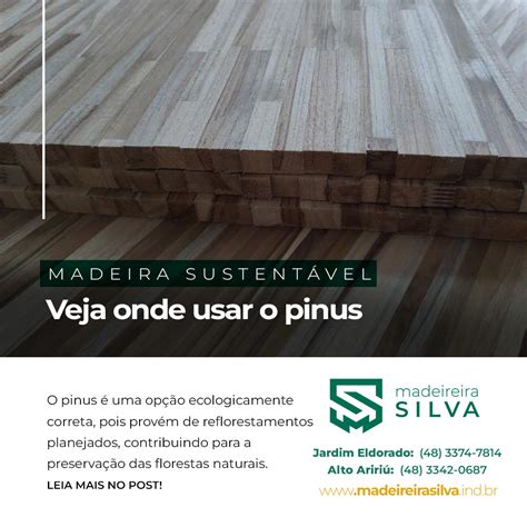 Madeira sustentável Veja onde usar o pinus Madeireira Silva Palhoça