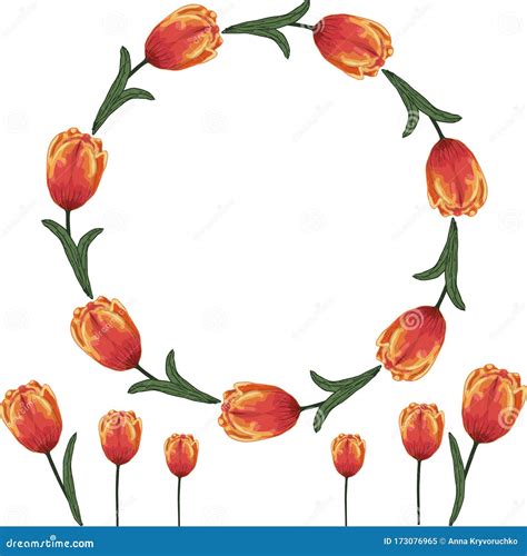 Wreath Of Yellow Red Tulips Vector Stock Vector Illustration Of