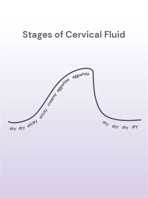 3 Types Of Vaginal Discharge Their Meaning Diva Us