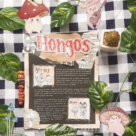 Apunte Bonito De Hongos En Apuntes Reino De Los Hongos Libreta