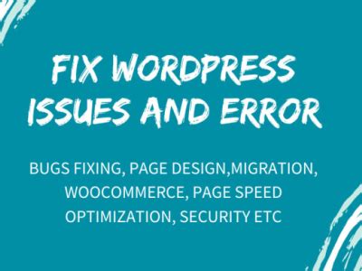 I Will Fix Wordpress Issues Bugs Errors Or Problems Within 1 H By