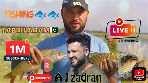 World S Smallest Fishing Rod Tarbeladam Haripur Hook Fishing Big Fish