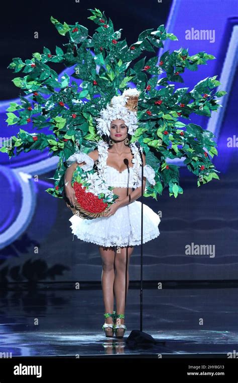 Miss Costa Rica, Brenda Castro participates in the 2015 Miss Universe ...