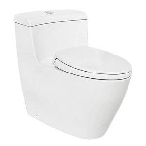 Toto Ms Cdv One Piece Toilet Tilottoma