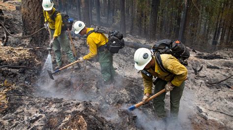 Cedar Creek Fire Western Oregon Wildfire Updates