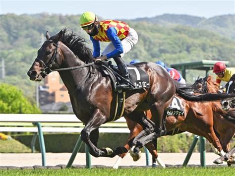 【浄土平特別レース後コメント】テーオースパロー西村淳也騎手ら 競馬ニュース