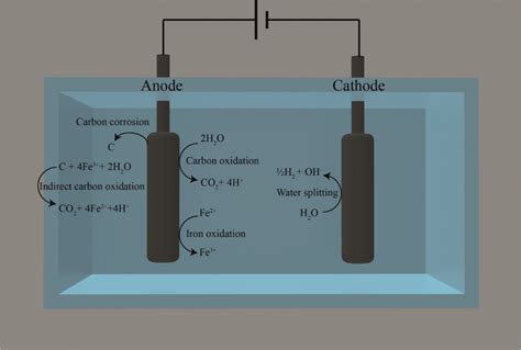 Overview of the reactions that occur at the anode and cathode during ...