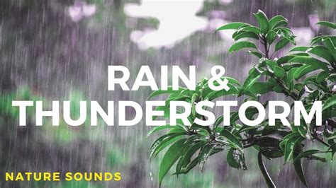 Calm Rain And Thunder Nature Sounds For Sleep Relaxation Meditation