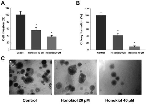 Effect Of Honokiol On The Invasion And Colony Formation Of The