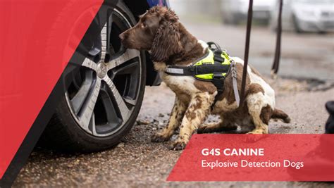 Explosive Detection Dogs Brochure G4s United Kingdom