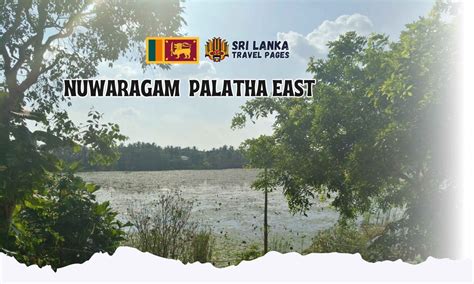 Nuwaragam Palatha East