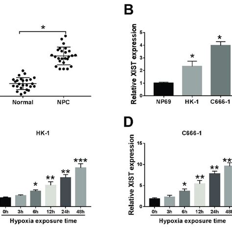 Xist Was Upregulated In Npc And Hypoxia Enhanced Xist Expression In Npc