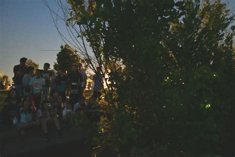 ホタル観賞や打ち上げ花火で初夏の夕べを楽しもう！ 5月25日、茨城・五霞町で「第2回いばらき玄関まつり」が開かれます とりぷれ