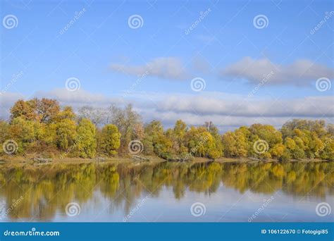 Autumn Landscape. River and River Bank with Yellow Trees. Willow and ...