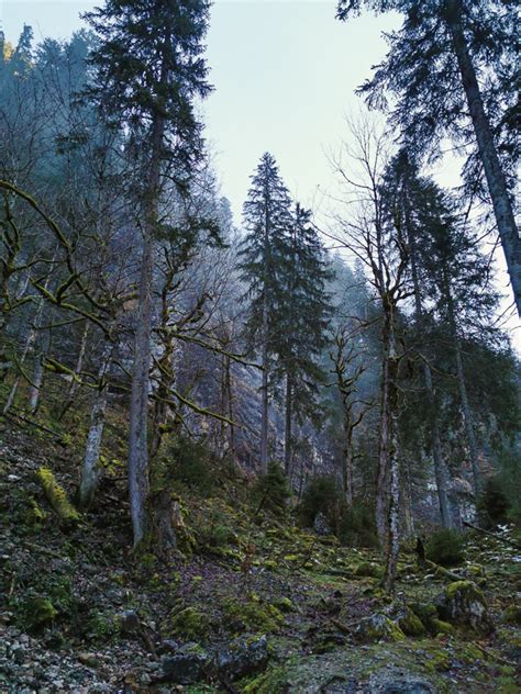 Imposant Eine Wanderung Zu Den Gosauseen Im Winter