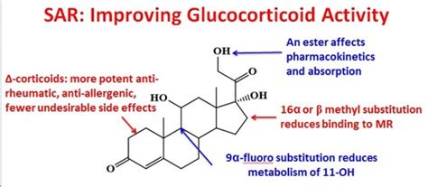 Steroid Med Chem Flashcards Quizlet