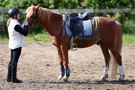 How Do I Find Horseback Riding Near Me? - Cornerstone Equine Academy