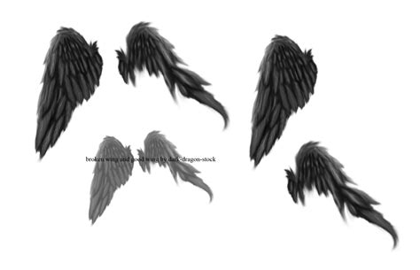 Broken Wings Png By Dark Dragon Stock On Deviantart