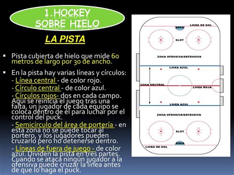 Hockey Hockey Sobre Patines Hockey Sobre Hielo Floorball O Unihockey