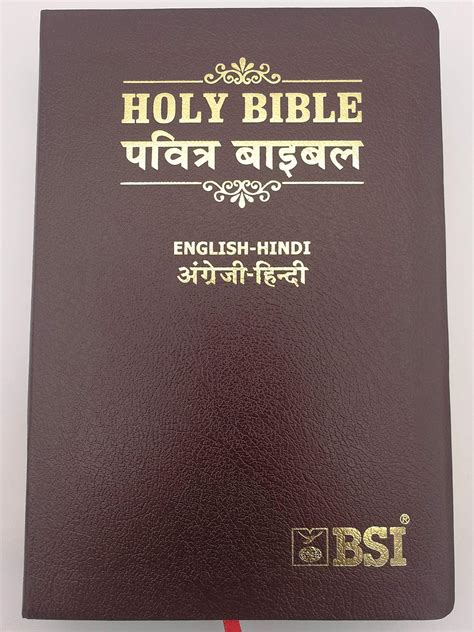 English Hindi Holy Bible Esv Hindi Ov Re Edited Leather Bound