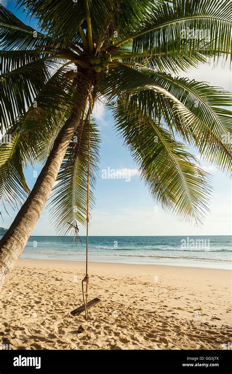 Coconut Palm Tree With Sand Beach And Blue Sea In Blue Sky Background