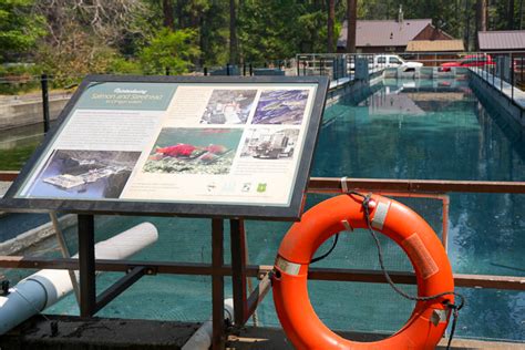 Wizard Falls Fish Hatchery Travel Oregon