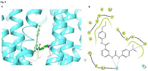 Molecular Interaction Of Vkng 2 With The Human Abcb1 Model A Docking Download Scientific