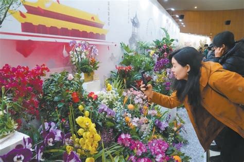 2000余万盆年宵花将上市 信息提示 首都之窗 北京市人民政府门户网站