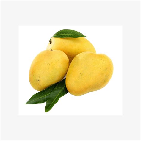 Buy Fresh Mangoes For Bulk Export from Afrivet Trading Services, South